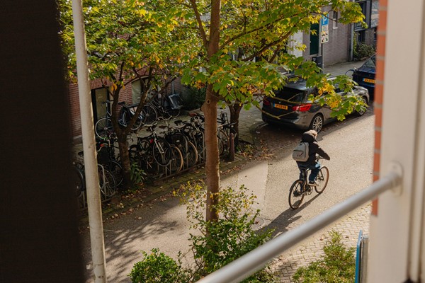 Medium property photo - Swammerdamstraat 12C, 1091 RT Amsterdam